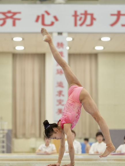 乐鱼体育官网登录畅享精彩赛事与直播